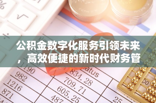 赞皇公积金数字化服务引领未来，高效便捷的新时代财务管理