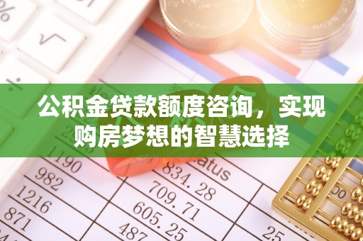 赞皇公积金贷款额度咨询，实现购房梦想的智慧选择