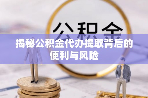 赞皇揭秘公积金代办提取背后的便利与风险