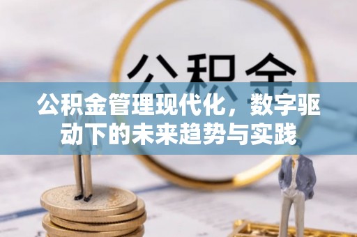 赞皇公积金管理现代化，数字驱动下的未来趋势与实践