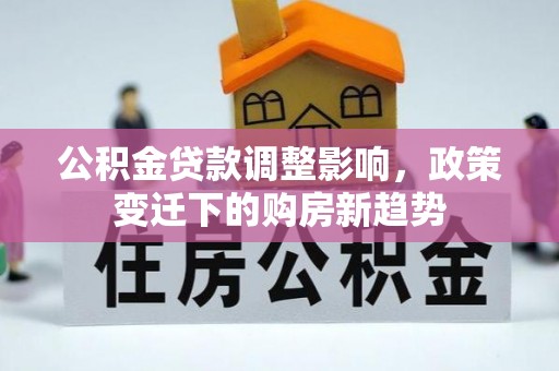 赞皇公积金贷款调整影响，政策变迁下的购房新趋势