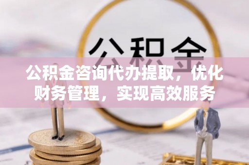 赞皇公积金咨询代办提取，优化财务管理，实现高效服务