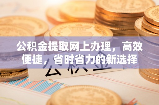 赞皇公积金提取网上办理，高效便捷，省时省力的新选择
