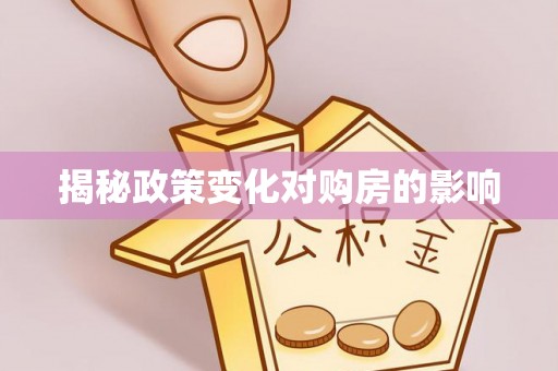 赞皇揭秘政策变化对购房的影响