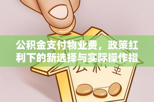 赞皇公积金支付物业费，政策红利下的新选择与实际操作指南
