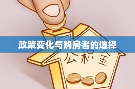 赞皇政策变化与购房者的选择