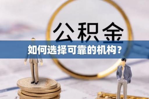 赞皇如何选择可靠的机构？