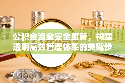 赞皇公积金资金安全监管，构建透明高效管理体系的关键步骤