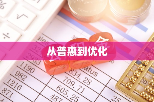 赞皇从普惠到优化