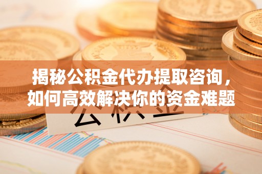 赞皇揭秘公积金代办提取咨询，如何高效解决你的资金难题