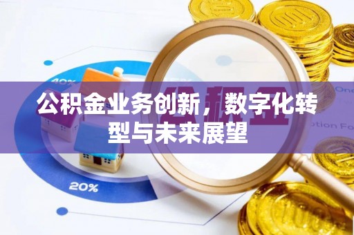 赞皇公积金业务创新，数字化转型与未来展望