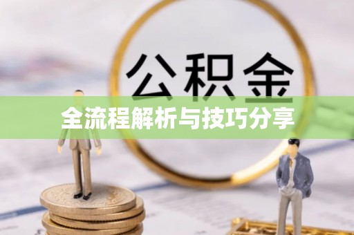 赞皇全流程解析与技巧分享